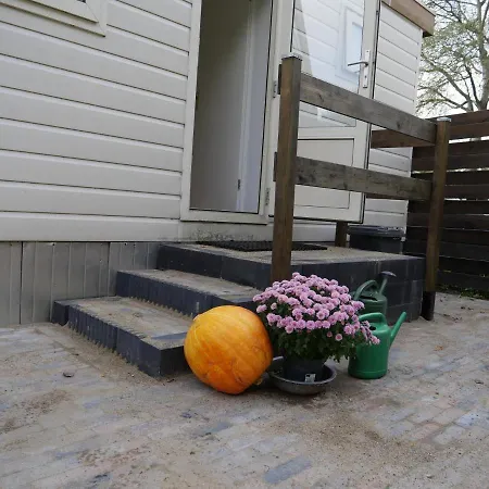 アパート Esdoorn In Putten, Gezellig En Luxe Gerenoveerd *