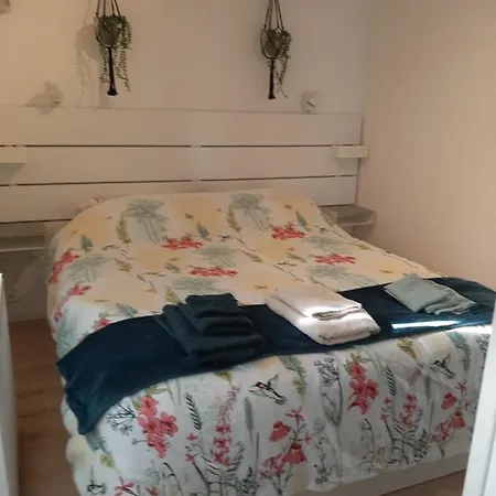 Esdoorn In Putten, Gezellig En Luxe Gerenoveerd Apartamento *