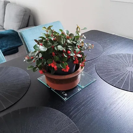 Esdoorn In Putten, Gezellig En Luxe Gerenoveerd *