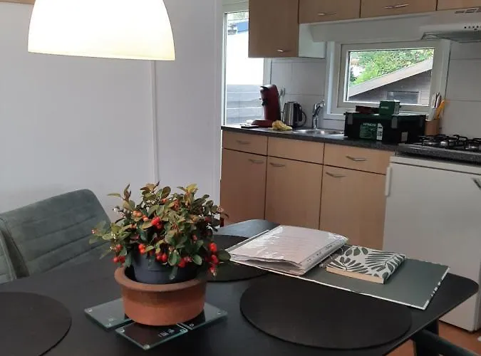 Appartement Esdoorn In Putten, Gezellig En Luxe Gerenoveerd