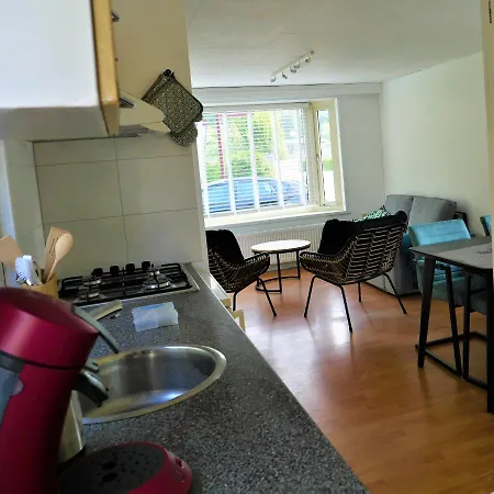 Lejlighed Esdoorn In Putten, Gezellig En Luxe Gerenoveerd