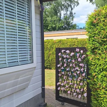 Esdoorn In Putten, Gezellig En Luxe Gerenoveerd *