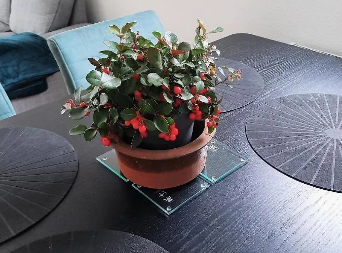 Esdoorn In Putten, Gezellig En Luxe Gerenoveerd *